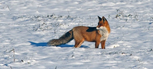 Jgeva neighbourhood, Estonia