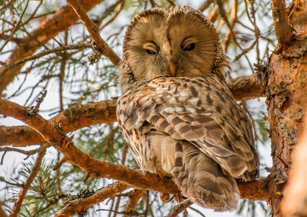 strura_23_3_2022_DSC_1516